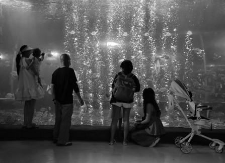 Aquarium Tour 15