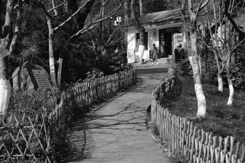Journey to Yuelu Mountain 26