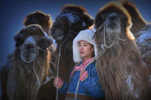 3camels with woman