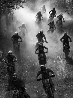 Motocross Herd