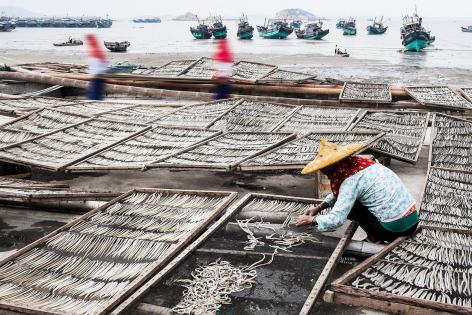 Drying fish in fishing villages