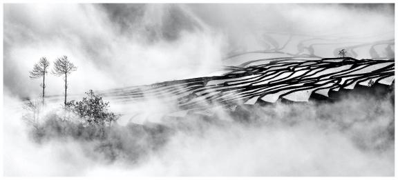 Morning in the stepped fields