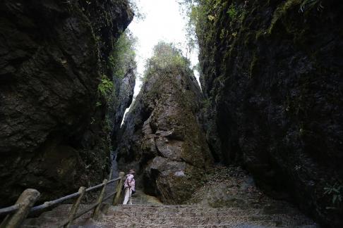 Mountain View Ancient Road 7