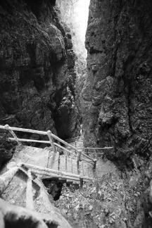 Mountain View Ancient Road 12