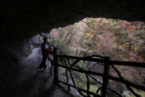 Mountain View Ancient Road 4