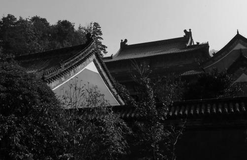 Journey to the Mountains 63