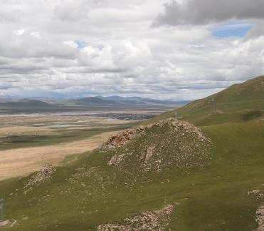 Tianlu Weaving Brocade 3