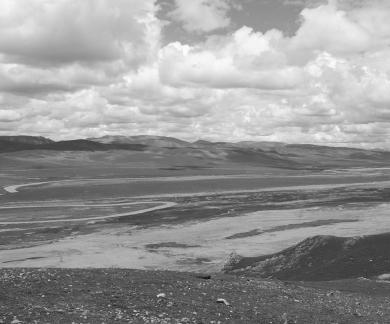 Tianlu Weaving Brocade 4