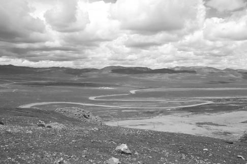 Tianlu Weaving Brocade 5