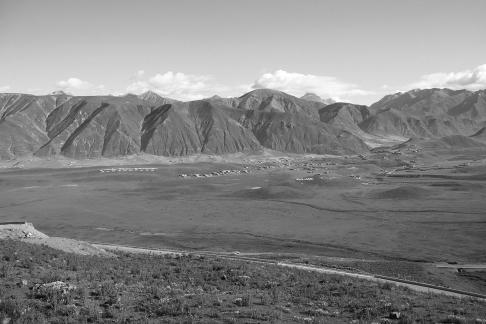 Tianlu Weaving Brocade 7