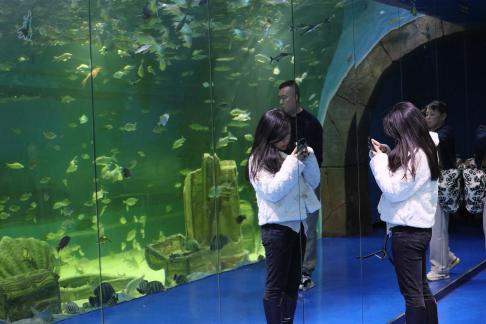 The Joy of Childhood 17