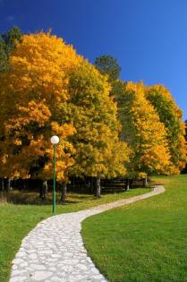 The most beautiful colors of autumn