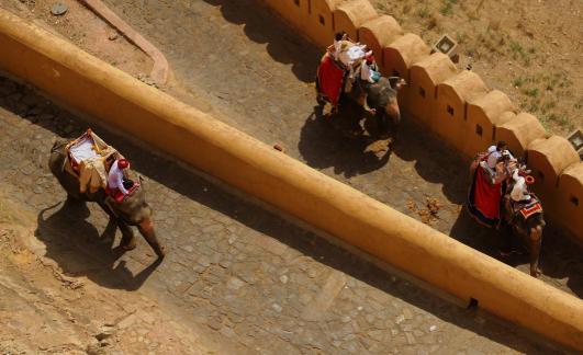 They go their own way