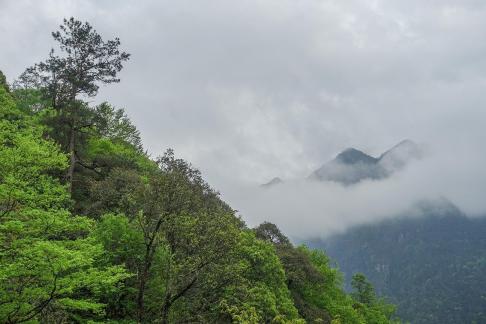 Yunshan Foggy Sea 14