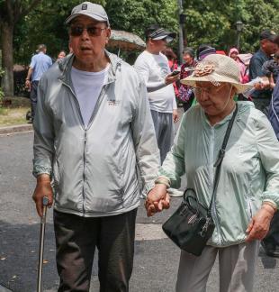 Accompanying the Four Seasons 1