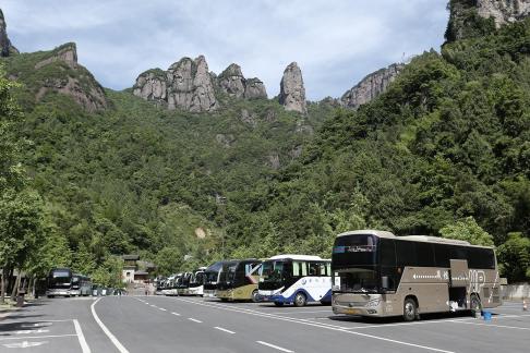 Green grows on the cliffs 5