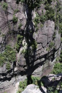 Green grows on the cliffs 1