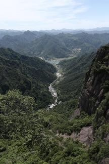 Green grows on the cliffs 2