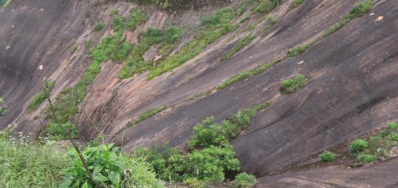 Rock wall vitality 1