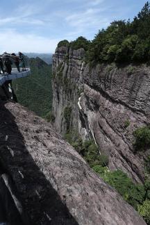 Mountain vegetation 3