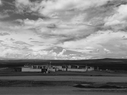 Yunmu Green Field 37