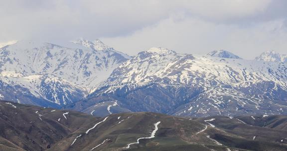 Cold Mountain Green Shadow 16