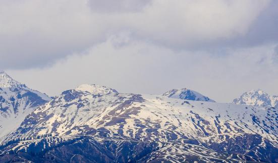 Cold Mountain Green Shadow 17