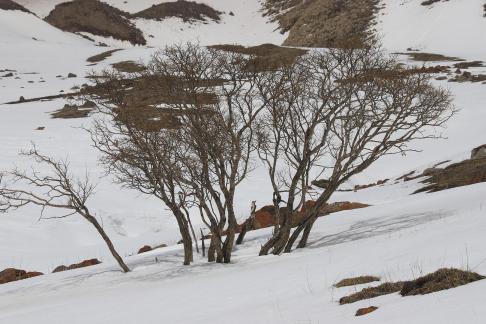 Empty field white painting 17