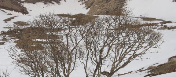 Empty field white painting 18