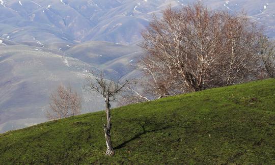 Mountain Overture 13