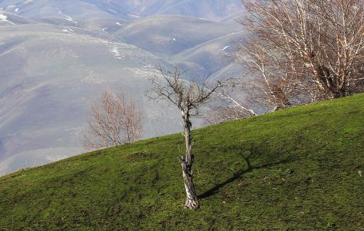 Mountain Overture 14