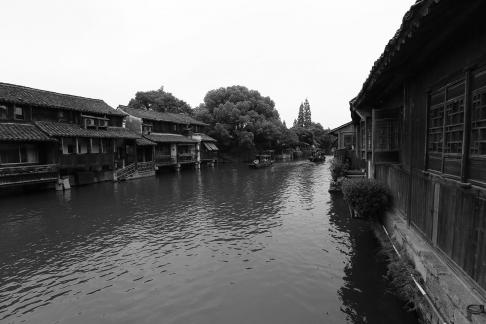 Singing on the green waves 30