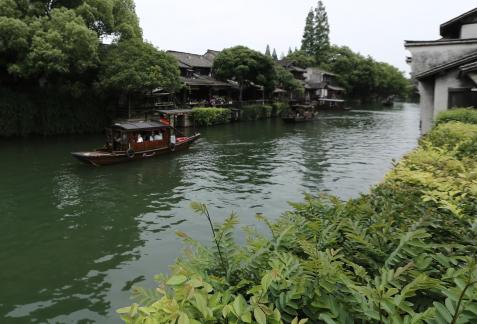 Singing on the green waves 22