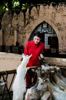 Shaanbei cave dwellings 2