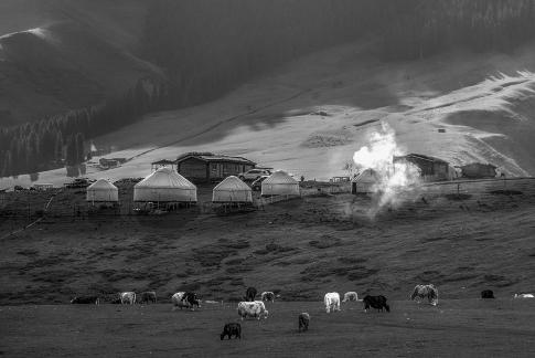 Home on the Grassland