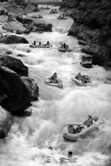 Waves Holding Speedboats