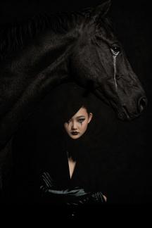 Steed