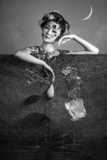 Moonlit Reverie