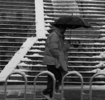 Snowflakes Dancing in the World 36
