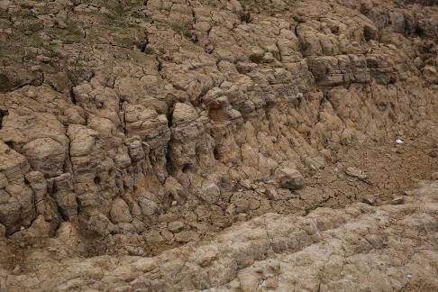 Dry land 5