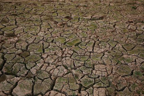 Dry land 6
