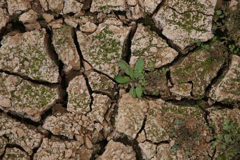 Dry land 8