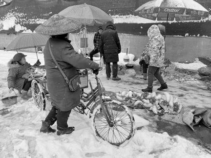 Snowy scenery 36