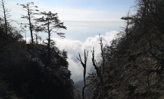 Dawn Valley 11