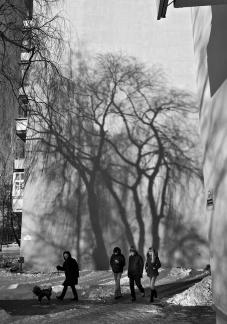 Life line