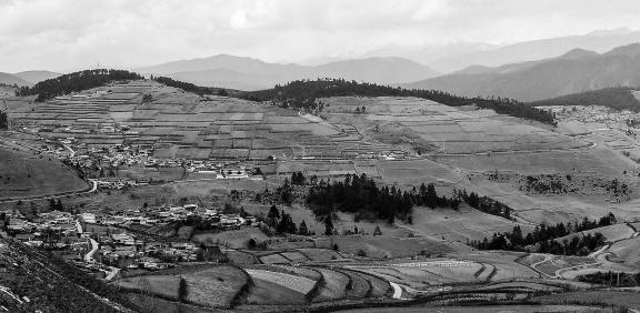 Cliff Village 8