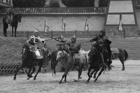 Equestrian performance 41