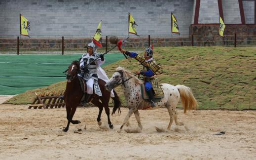 Equestrian performance 34