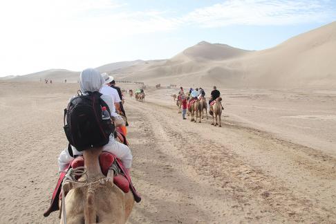 Desert Journey 41