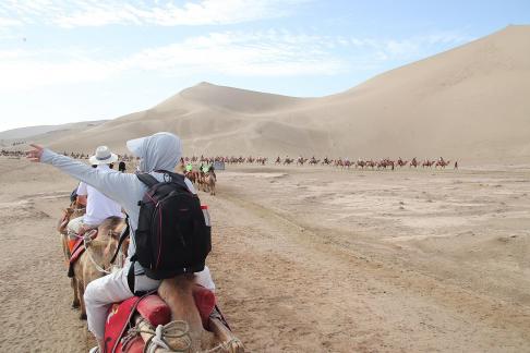 Desert Journey 42
